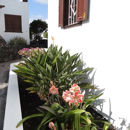Casa Carino شقة بلايا هوندا